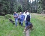 Harzwanderung mit Hund